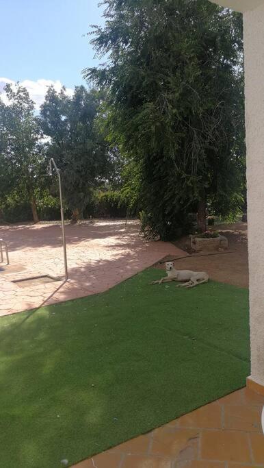 Apartment Marichu. Piscina, Bbq Y A 15 Min Puy Du Fou *